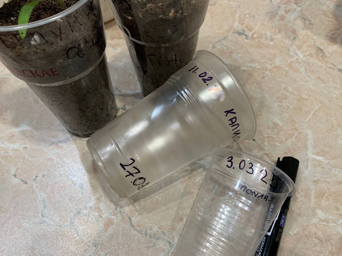 Маркер плохо оттирается. Фото автора 