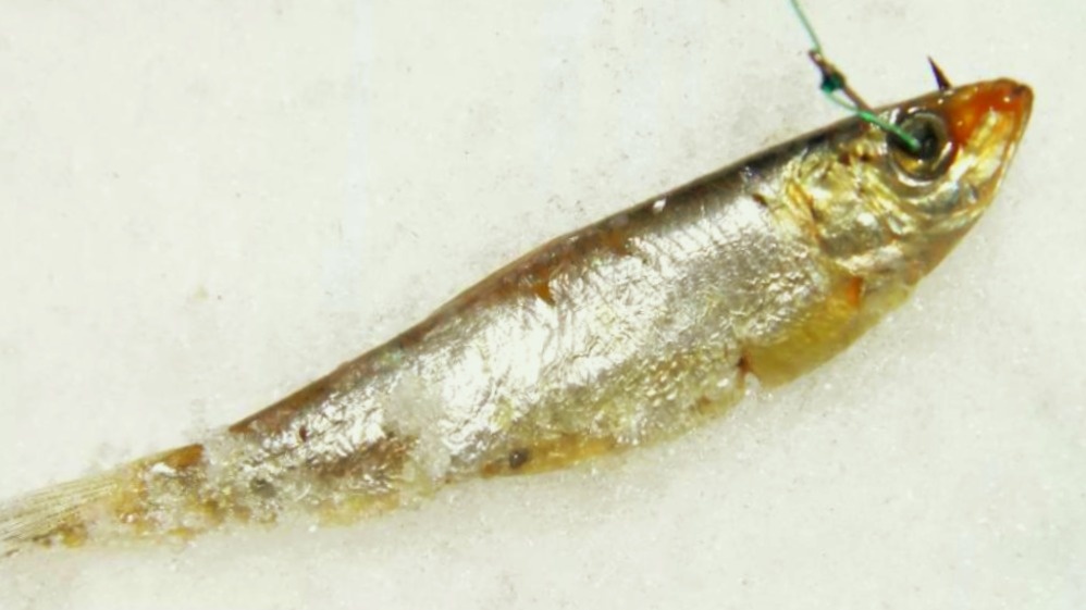 Способы насадки тюльки - смотрите галерею