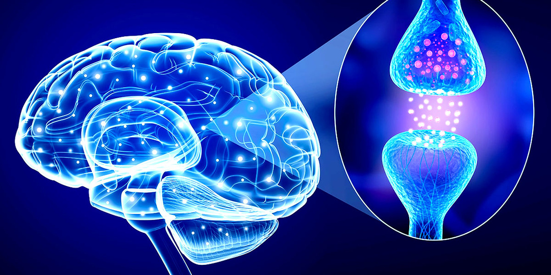 Как проявляется пониженный уровень гамма-аминомасляной кислоты в мозге?