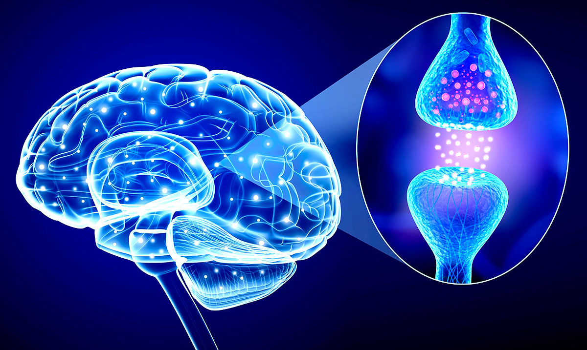 Изображение из открытых источников