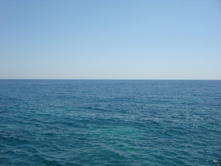    Фото: wiki commons/Aleksey Churushkin/CC BY-SA 4.0 Алина Колупаева