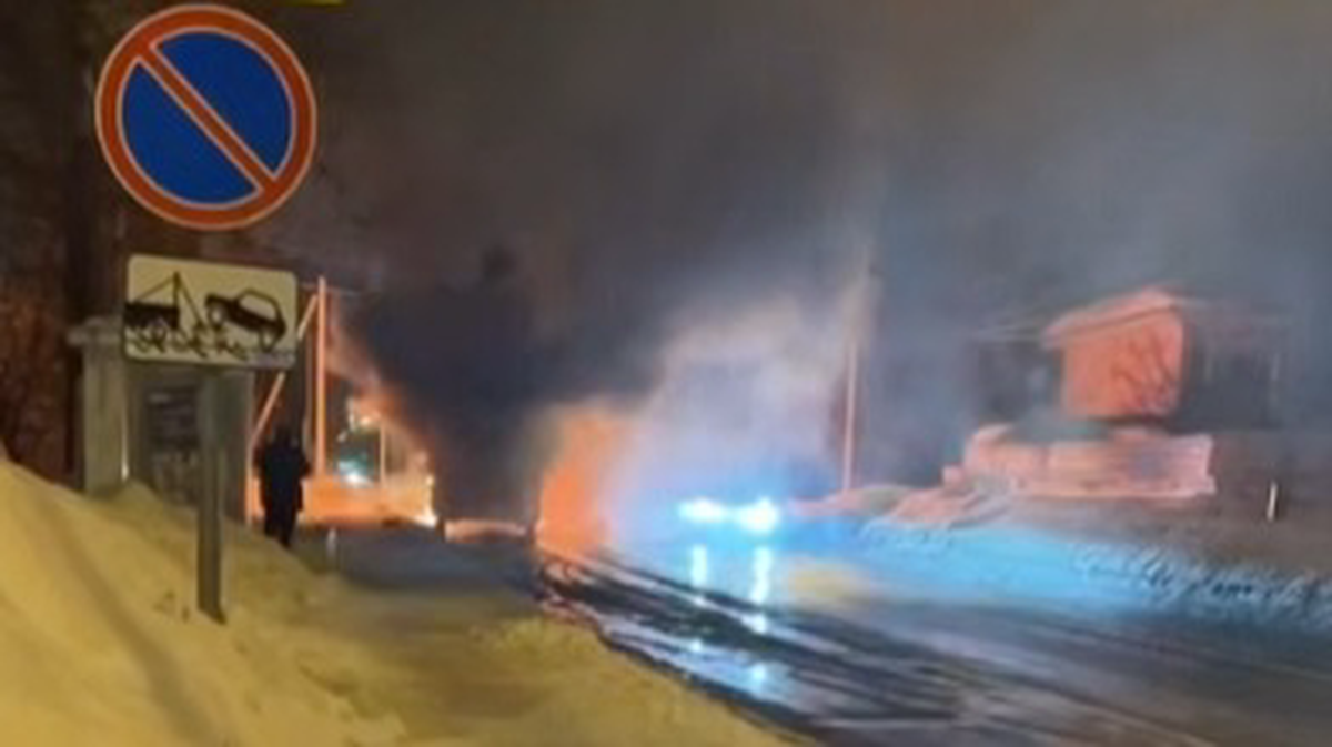    Фото: скриншот / агентство «Москва» / Telegram