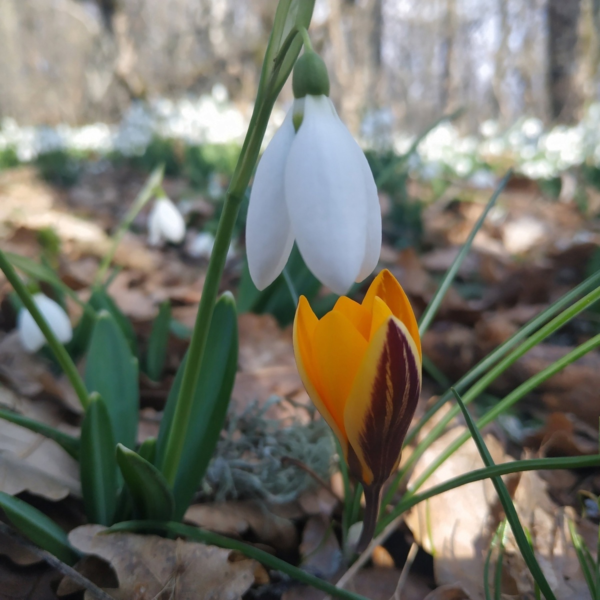 📷 Вячеслав Лузанов