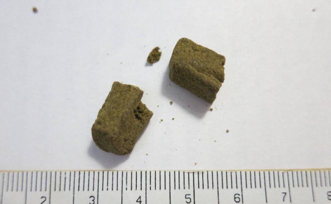    © Пресс-служба Северо-Западной транспортной прокуратуры