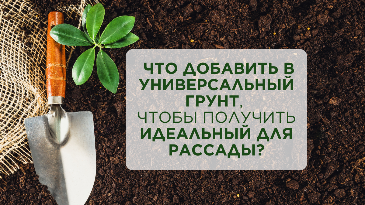 Читайте и подписывайтесь! Добавки для рассадного грунта по агрономической науке!