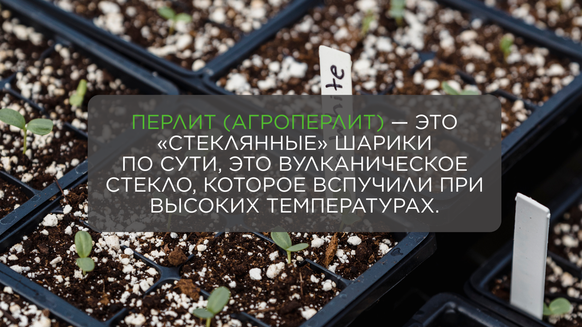 Перлит (агроперлит)