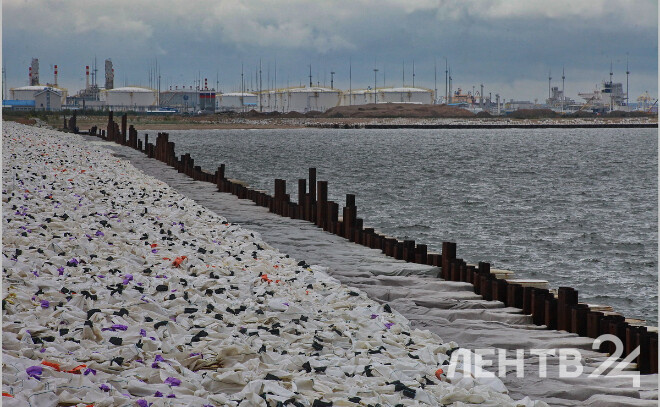    © Анастасия Илюшина / ЛенТВ24, архивное фото