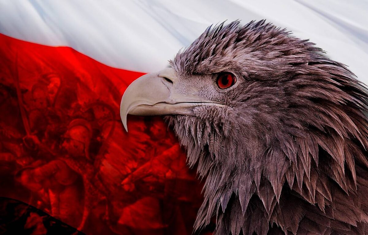     Польша следит за ситуацией   
Евгений Шляхов © Красная Весна