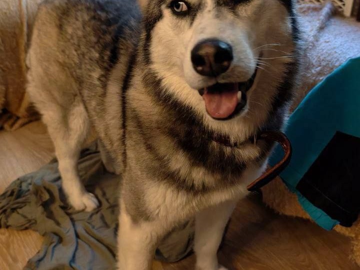 Зима уехала к Весне 🥰