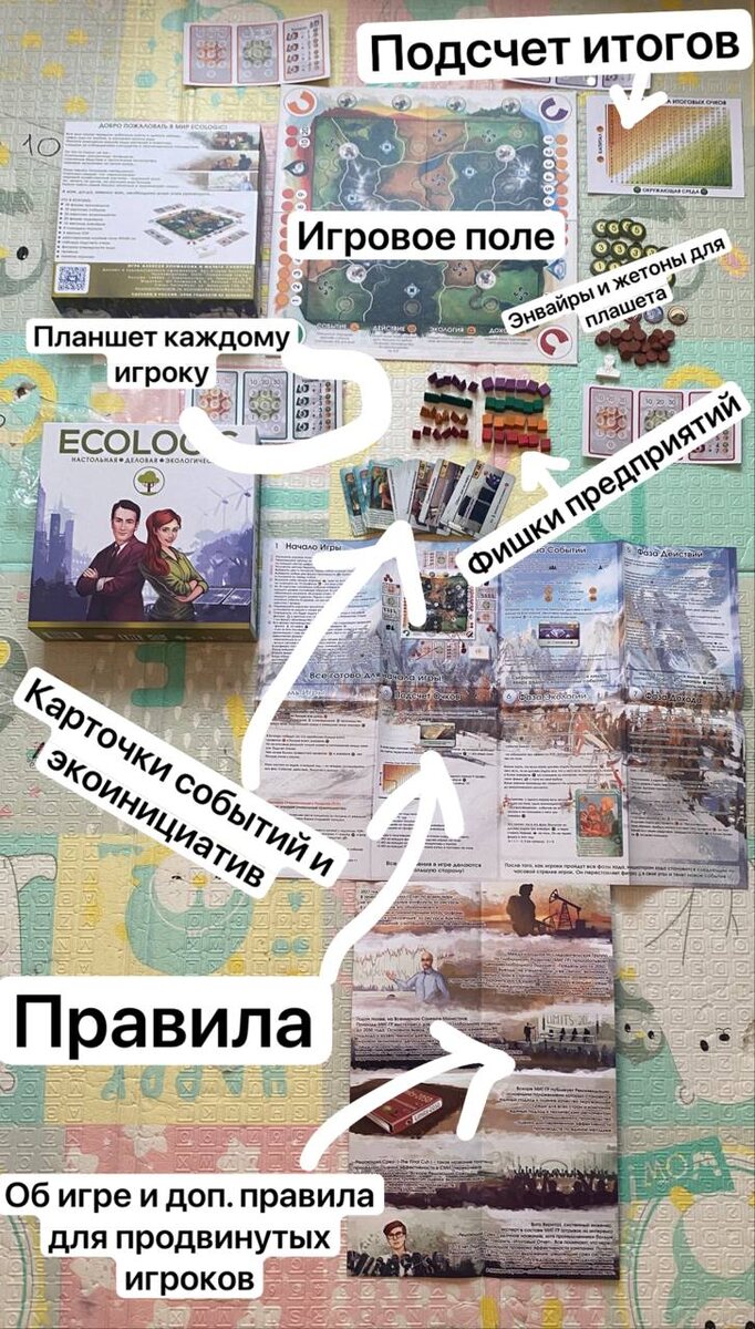 Состав настольной игры Ecologic