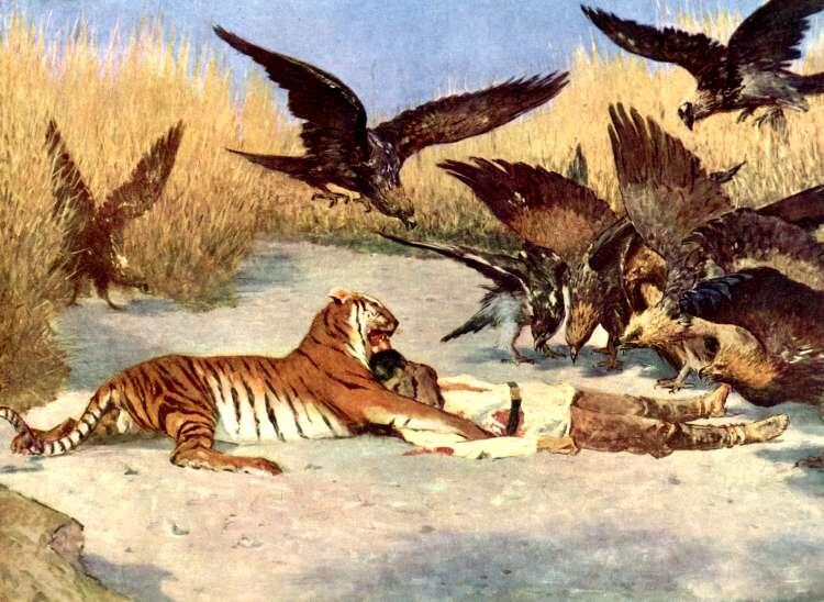     Василий Верещагин. Тигр-людоед. Николаевский художественнный музей
