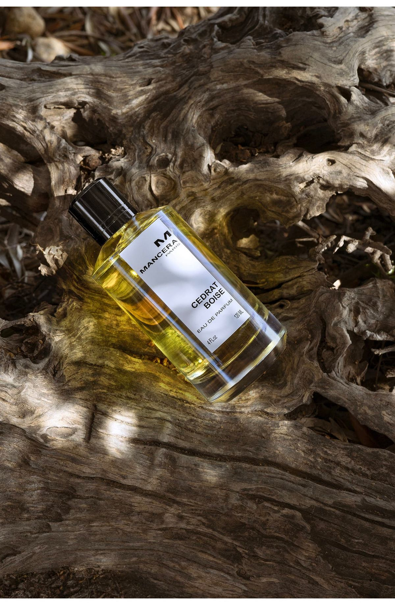 Источник: https://pin.it/2Wzq1R2Hj