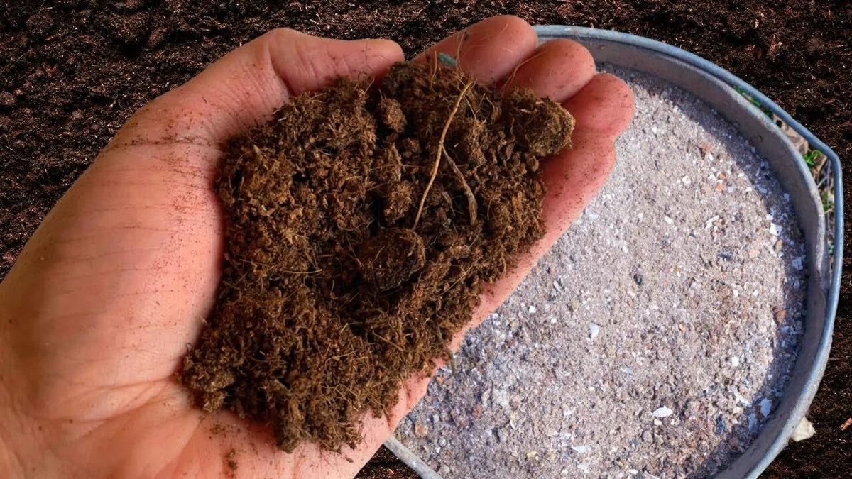 Готовим почвосмесь