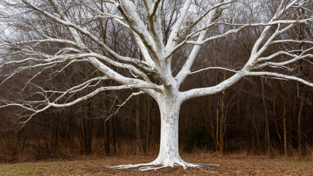 Конечно, так белить не надо!!!
