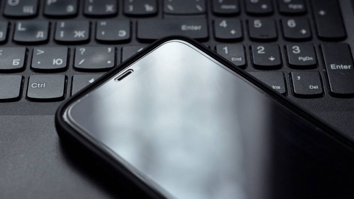    Фото: Анна Быкова / Вечерняя Москва