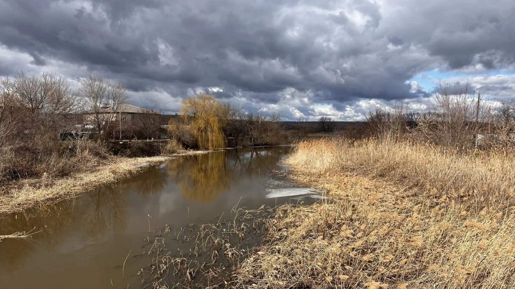    Фото: Г. Ященко. Галина Ященко