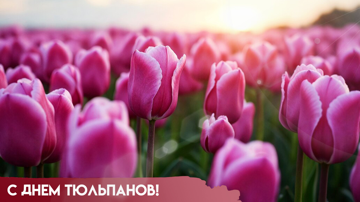 Фото: tvsamara.ru