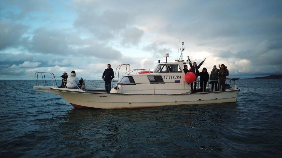 Когда можно увидеть китов на Кольском полуострове: гид по сезонам и местам