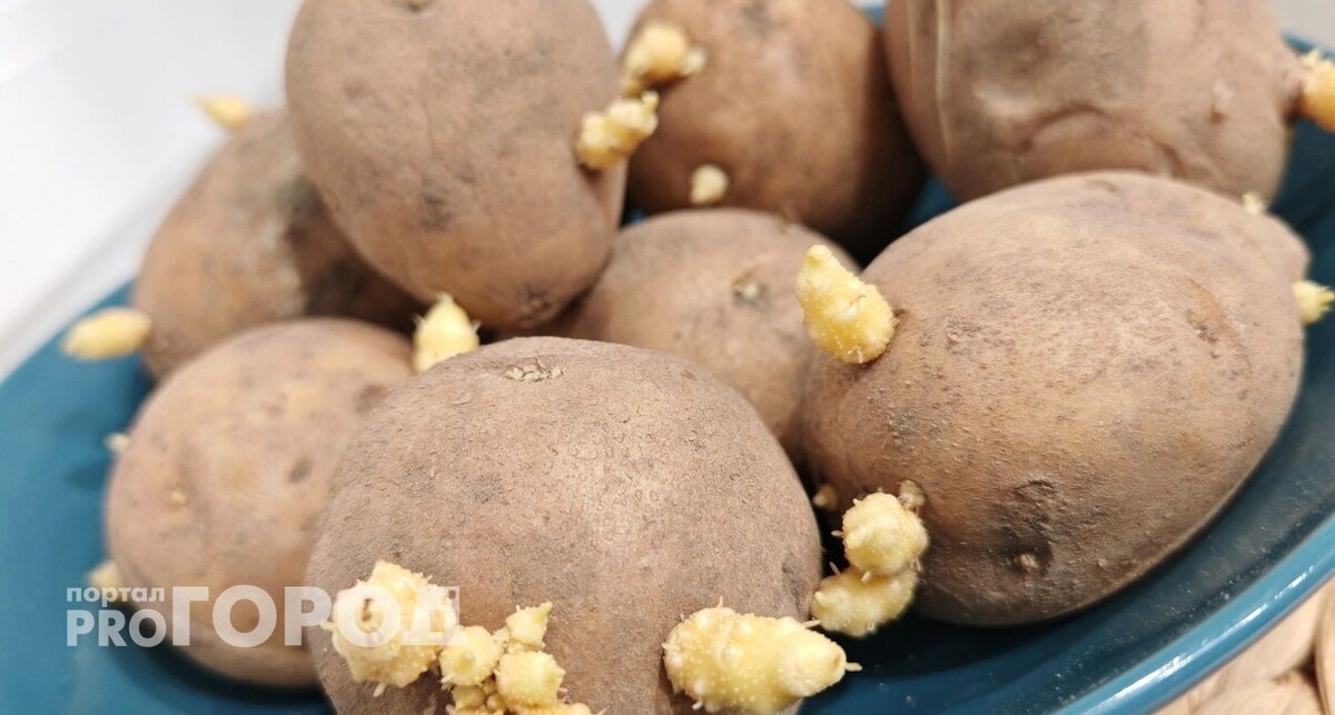    из архива "Про Город"