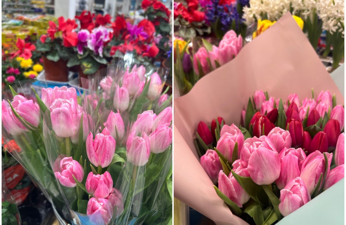 Все фото: канал Зоркий 