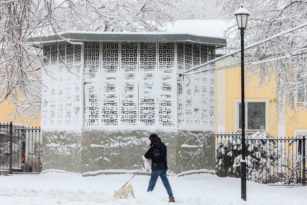    Фото © АГН «Москва» / Ярослав Чингаев
