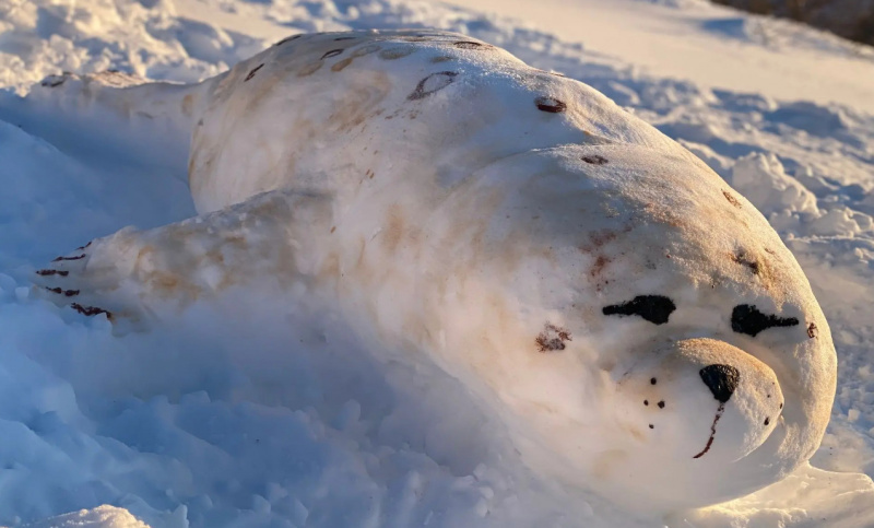 Фото пресс-службы Кроноцкого заповедника