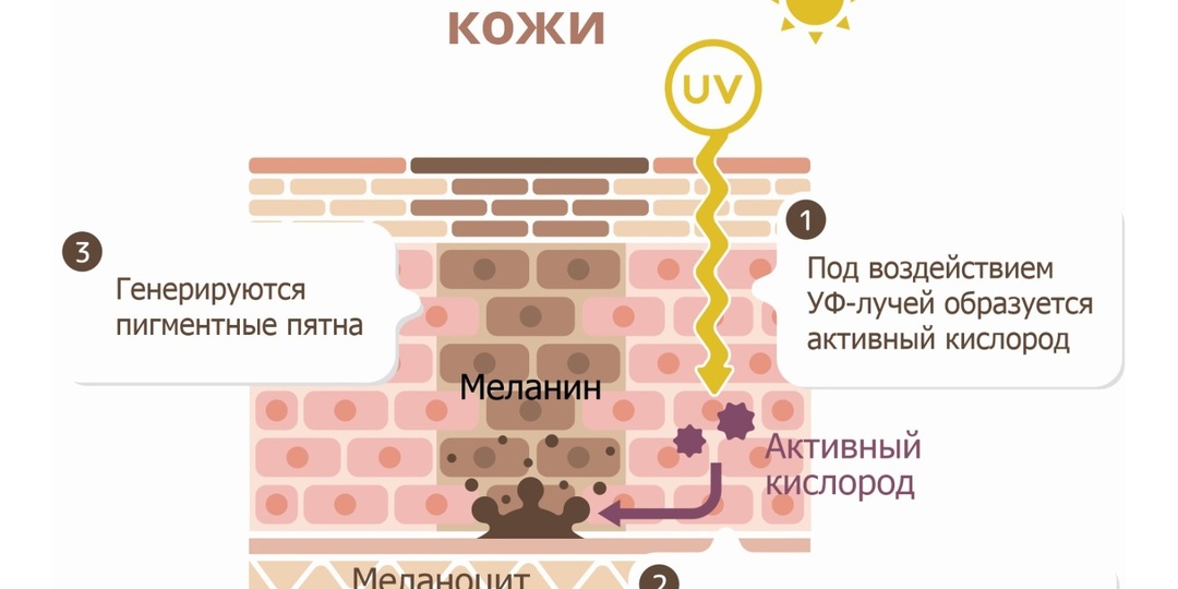 Изменение оттенка кожи в одной зоне — какие анализы назначают