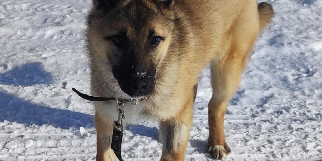 Настоящее чудо по имени Маша: от обездвиженности к жизни, полной радости