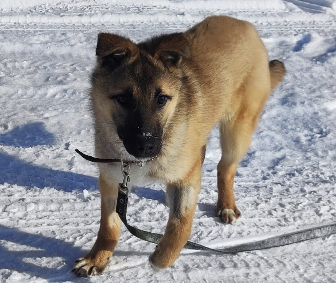 Девчонка с характером!