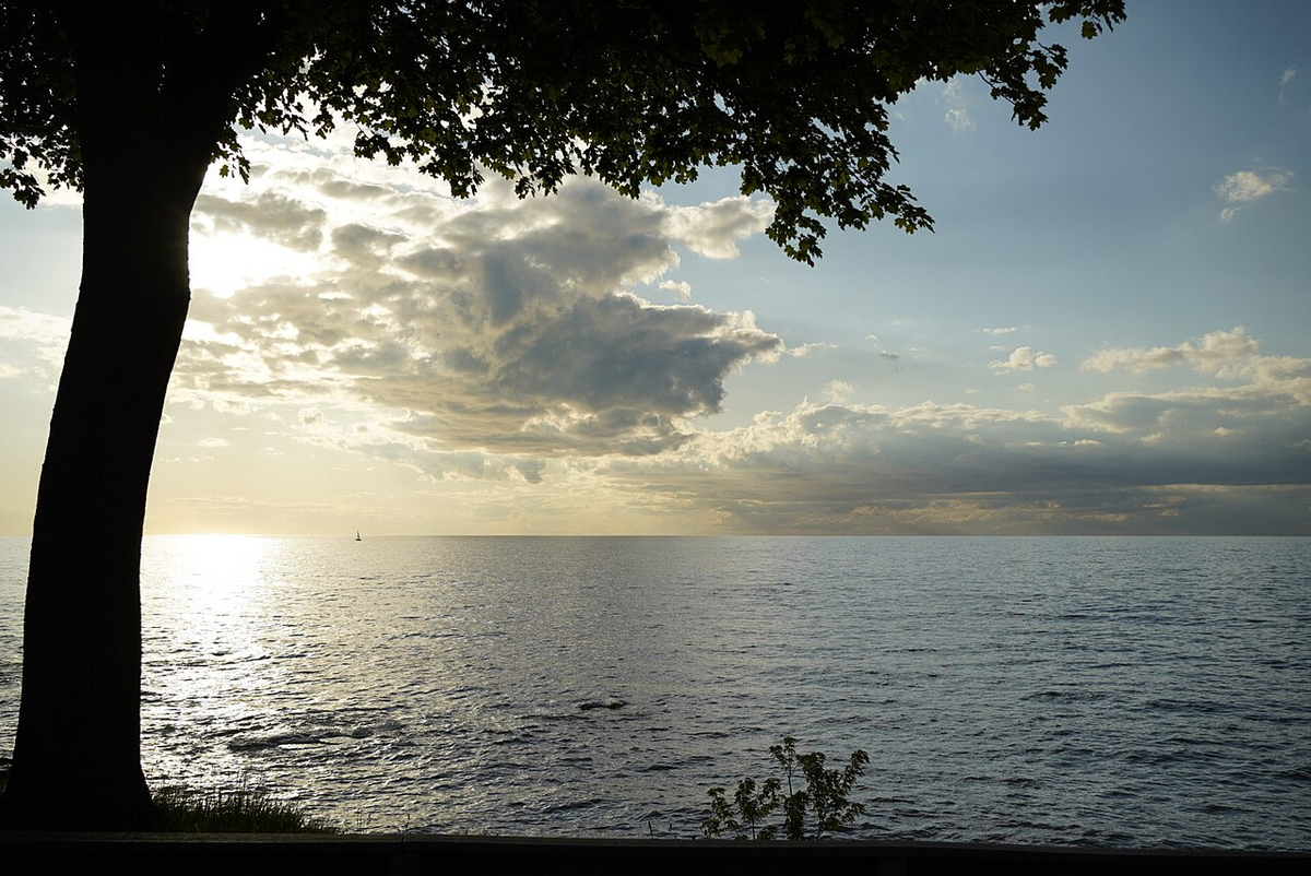 Озеро Эри                                                                                                                                              (Borrowed from here; https://commons.wikimedia.org/wiki/Category:Lake_Erie#/media/File:SNY0681.jpg,                                                 By NPerry (WMF) - Own work, CC BY-SA 4.0, https://commons.wikimedia.org/w/index.php?curid=91719092)