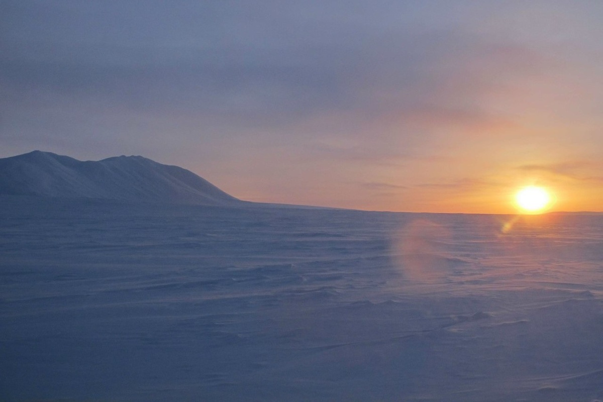 Фото: t.me/Wrangelisland