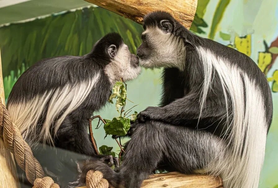    Фото: МК/ МК в Новосибирске