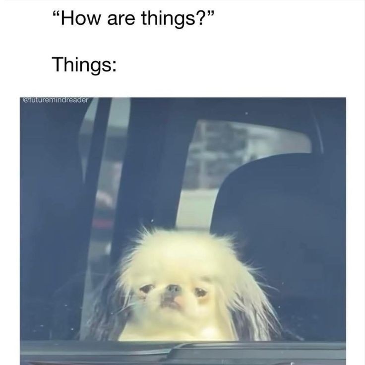 "Как дела?" - Дела: