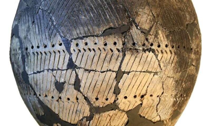 Исследование керамики: археологи выяснили, что ели в доисторической Европе