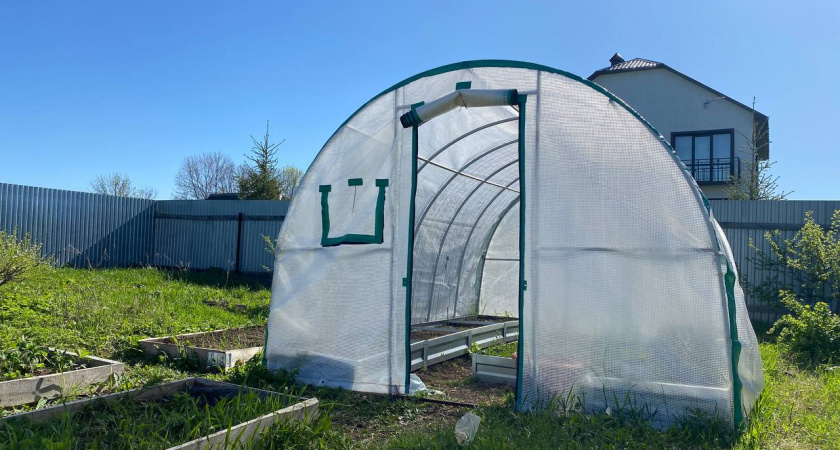    Автор фото - Анна Ефимова