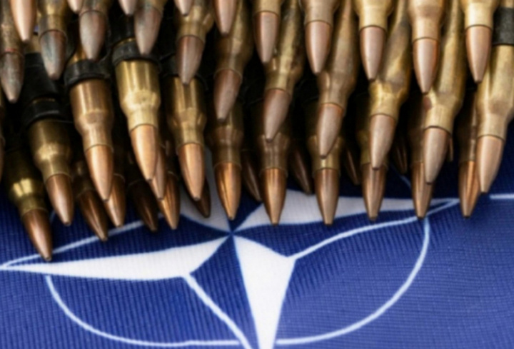 фото: pxhere.com