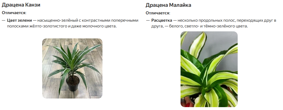 Ох уж эти сказочники (с)