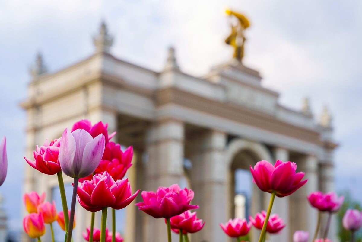 ВДНХ 8 марта 2026: афиша мероприятий - праздничная программа и подарки для женщин