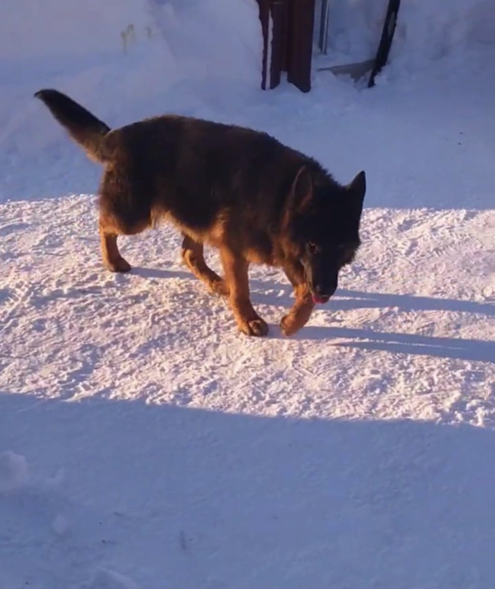 Так и бродила . .