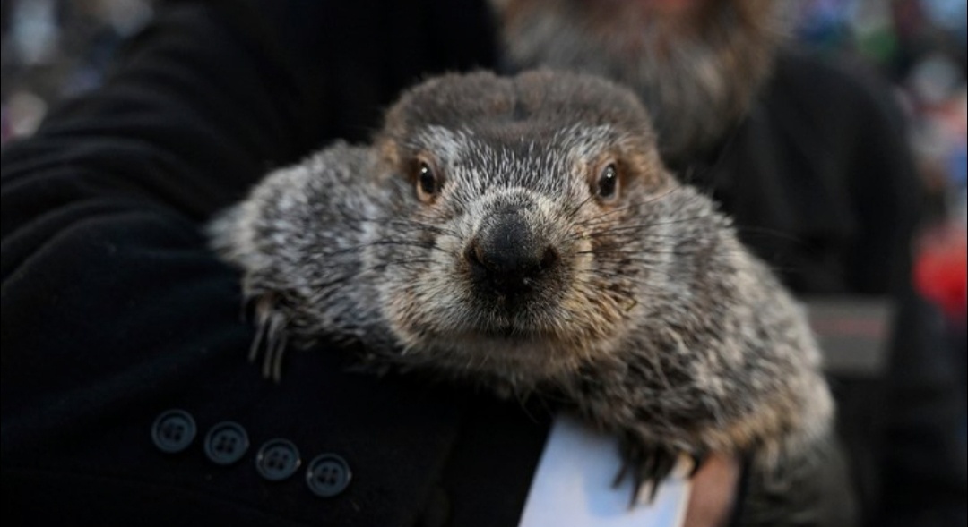 Кадр из фильма «День сурка» 