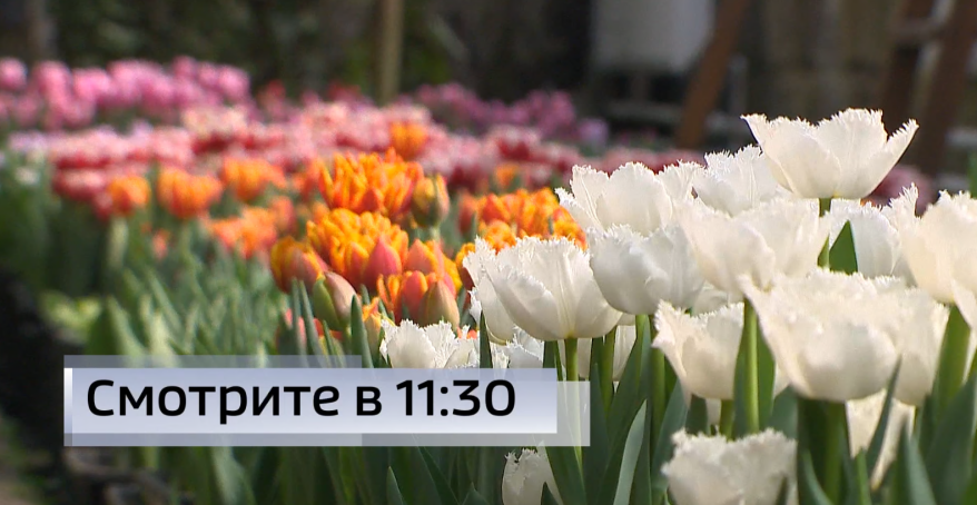    Источник фото: