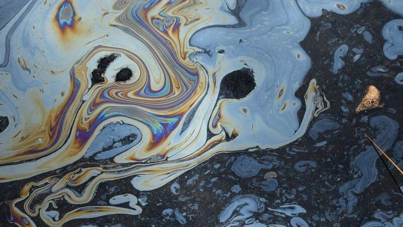    Фото: dimitris_k/Shutterstock/Fotodom