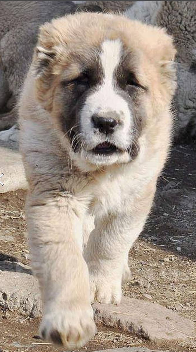 С просторов