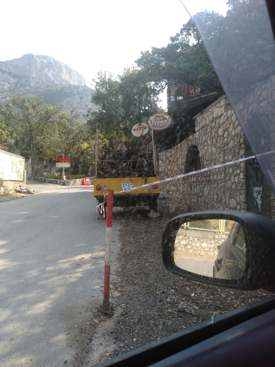 Припарковала машину у кафе "Гурия". 