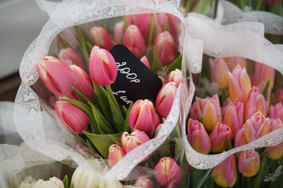    Публикуем список мест, где красноярцы смогут купить тюльпаны ИВАНОВА Диана