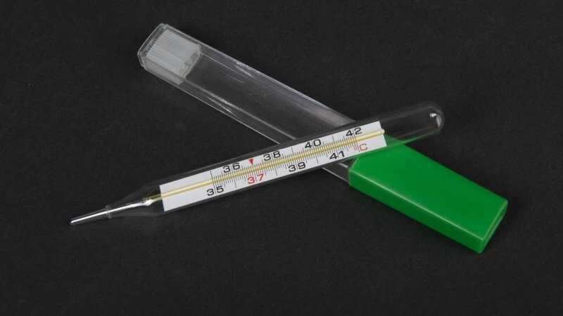     Градусник. Анна Зайкова