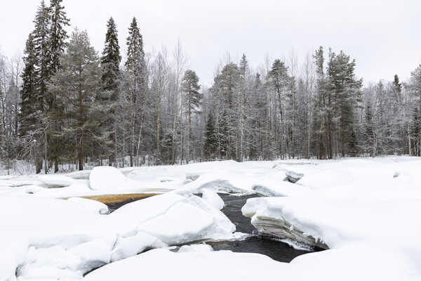 Tudoran Andrei/Shutterstock/FOTODOM   📷