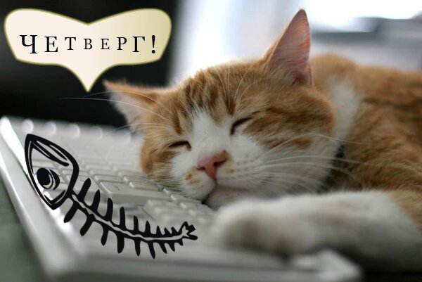 картинка из открытого доступа