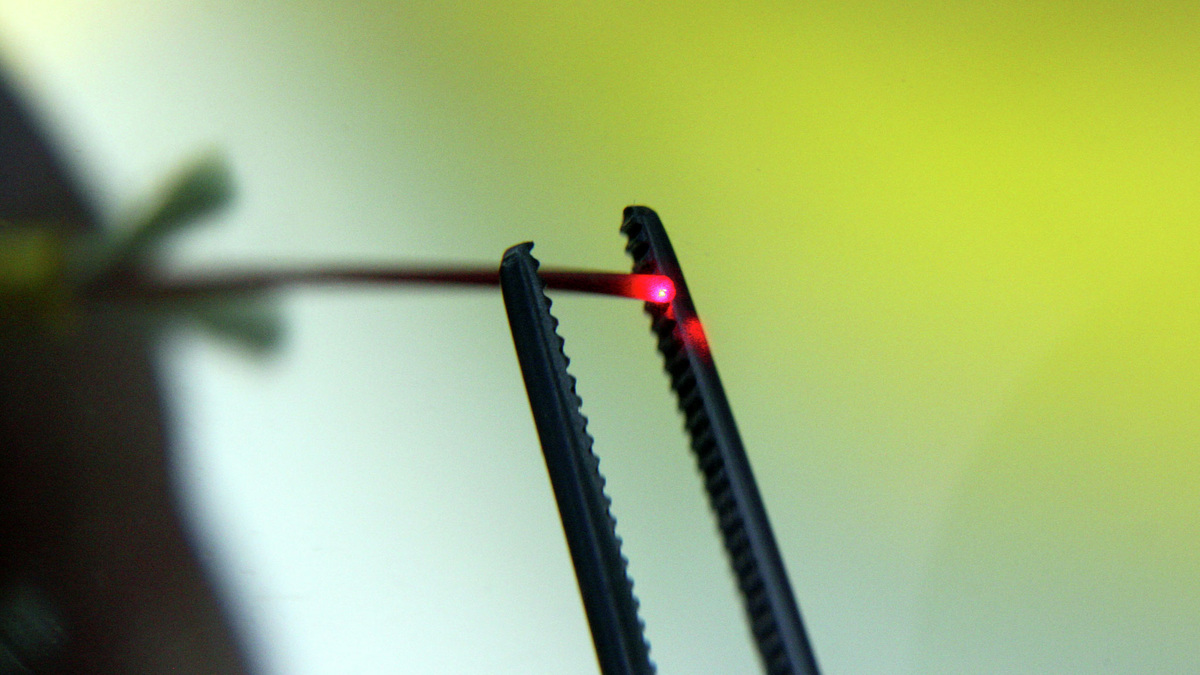    Инженеры России значительно увеличили пропускную способность оптоволокна РИА