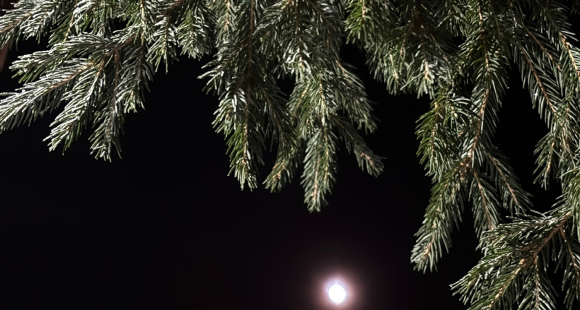    Фото "Про Город"